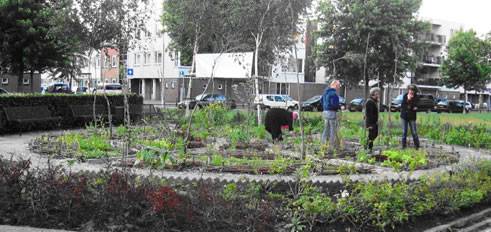buurtmoestuin buurtmoestuin